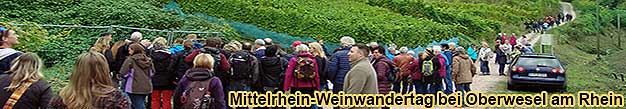 Weinliebhaber genie�en die Mittelrhein-Weinwanderung mit Blick auf die malerischen Weinberge von Oberwesel.